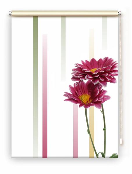 Rollo Astern linia rechts, Rollo, Motivrollo, Rollo mit Druck, Fotorollo, bedrucktes Rollo, Fensterrollo,verdunkelndes Rollo, Sonnenschutz Rollo